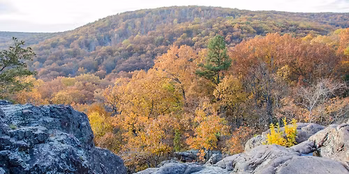 \ud83c\udf1f A Weekend in Branson MO \ud83c\udf1f $79 Per Couple