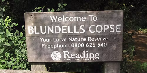 Blundells Copse Bird Walk