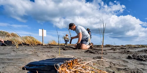 Wh\u0101ingaroa\/Raglan planting bee