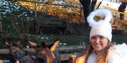 22. Adventmarkt am H\u00fcblerhof