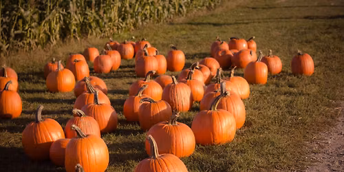 Coldwell Banker Escarpment's Annual Pumpkin Giveaway