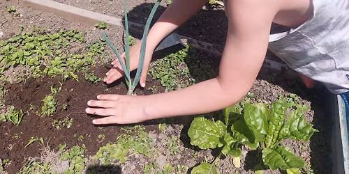 Community Garden Day