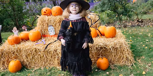 Halloween Trail