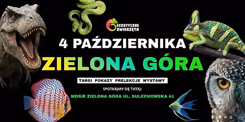 ZIELONA G\u00d3RA 4 PA\u0179DZIERNIKA - EGZOTYCZNE ZWIERZ\u0118TA - TERRARYSTYKA AKWARYSTYKA i wiele wi\u0119cej