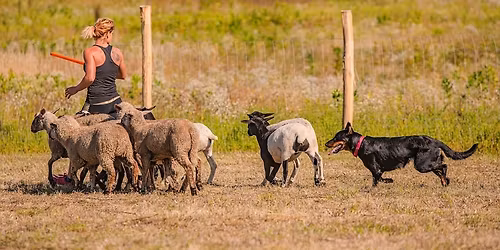 CACTR Terel\u0151verseny, TKV, NHAT, HWT