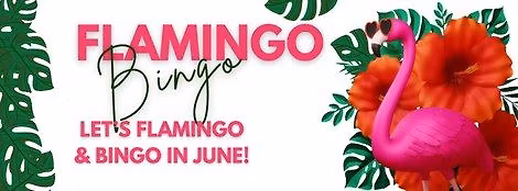 June Flamingo Bingo - Bingo on Broadway