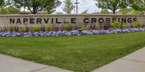 Wizard Party at Naperville Crossings