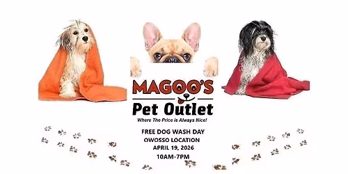 Free Dog Wash Day-7