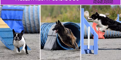Sievin kennelkerho ry: Agilitykisat 23.5.2026