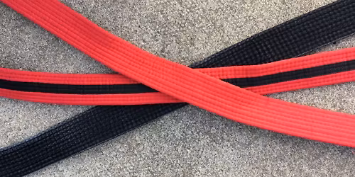 Ellison's pre-dan seminar (May 2026)