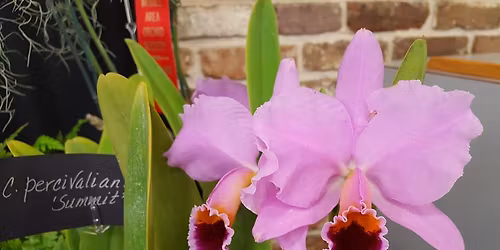 March meeting of the New Orleans Orchid Society