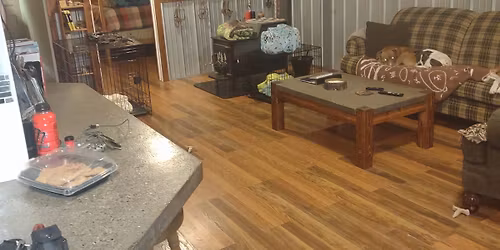 Deck the Halls Holiday Show