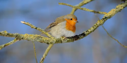 Opschonen Spaarne-oevers Landelijke Opschoondag