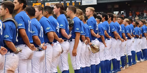 Texas A&M-Corpus Christi Islanders at Incarnate Word Cardinals Women's Basketball at McDermott Convocation Center
