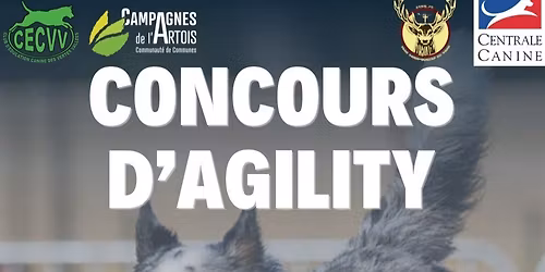 1er concours d'agility du CECVV \ud83d\udd25\ud83d\udc36