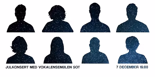 Julkonsert med Vokalensemblen Sot