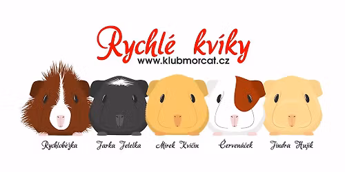 14TH DOUBLE CAVY SHOW LYS\u00c1 NAD LABEM