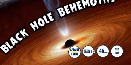 Black Hole Behemoths