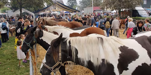 Foire de Beaucroissant