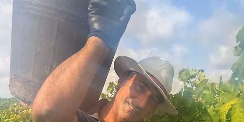 Vinsmaking - P\u00e5skeaften - Dr. Holms Hotel