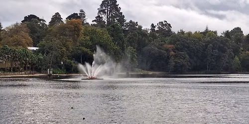 (E-E\/M) Virginia Lake & St. John's Hill Walk (Local Walk with Shorter & Longer Options)