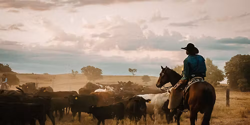 Hot Dog Saturday at Atwoods