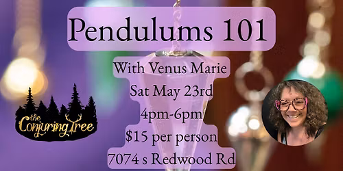 Pendulums 101 with Venus