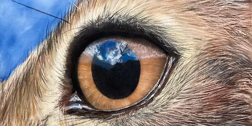 Pet Portraits in Pastel