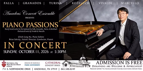Cathedral Concert: Amadeus Concert Ensemble