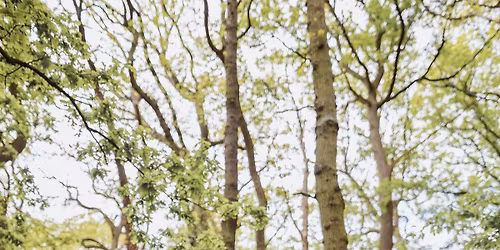 EARLY MUSIC 11: Intesa Duo