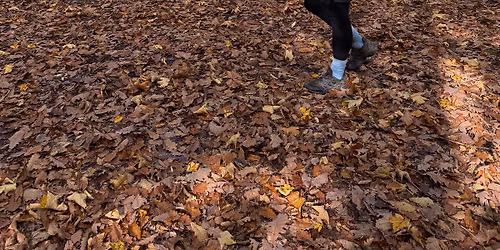 Biegowy Trip vol.4 WPN