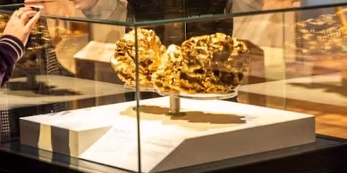 Melbourne Museum: Guided Highlights Tour