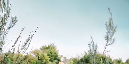 Elements of Yin Yoga Teacher Training 50 Hours