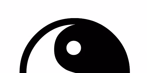 WS i Yin & Yang