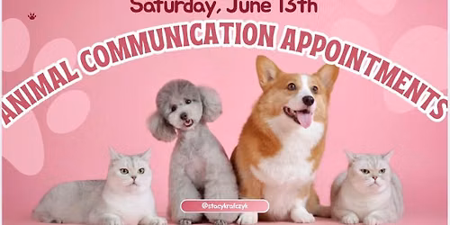 20 Minute Animal Communication or Personal Sessions \ud83d\udc9c