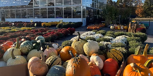 November 22nd Holiday Market