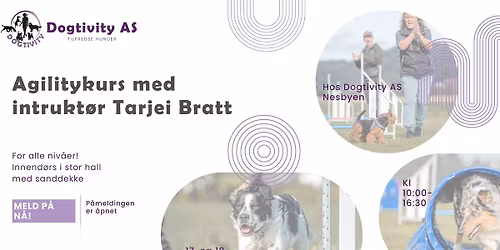 Agilitykurs