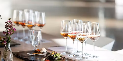 DIVE INTO WINE: Germany & Austria