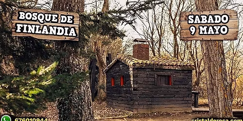 Bosque de Finlandia \ud83c\udf33