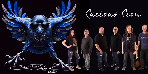 Curious Crow @ Anduzzi's Howard