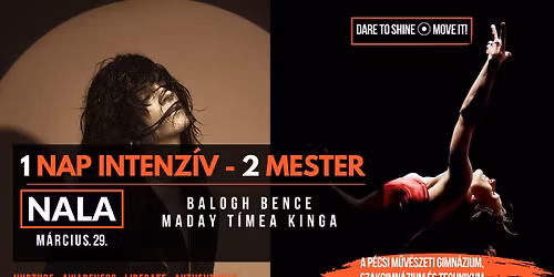 NALA_1Nap 3Mester \/ M\u00c9SZ\u00c1ROS I MADAY \/ BALOGH