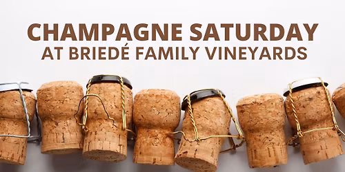 Champagne Saturday Class at Bried\u00e9 Family Vineyards