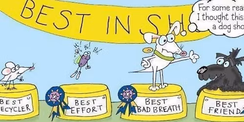 Becketts Park Fun Dog Show 