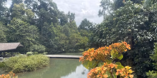 A Hidden World: Singapore's Lush Rainforest & Wetland Journey