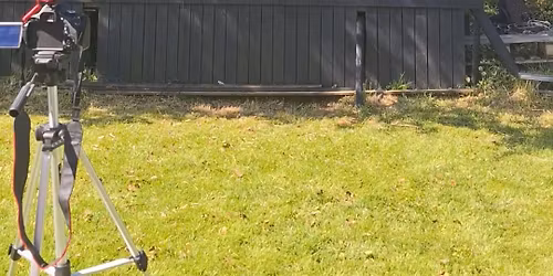 Lindefestival \ud83c\udf33 2026