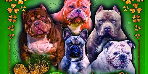 ABKC Oklahoma Shamrock Bully Fest 4