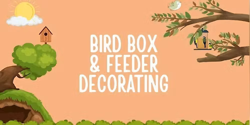 Bird Box and Bird Feeder Decorating