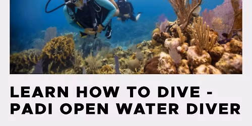 Learn How To Dive! Open Water Diver