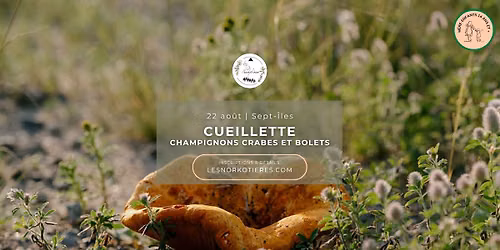 Cueillette champignons crabes et bolets | Sept-Îles