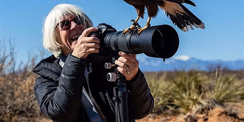 Wildlife Photography in Action